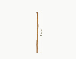 Robinia Midpole - 4 meter