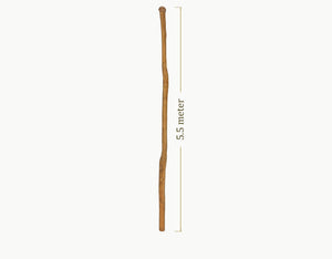 Robinia Midpole - 5.5 meter