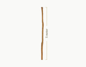 Robinia Midpole - 5 meter
