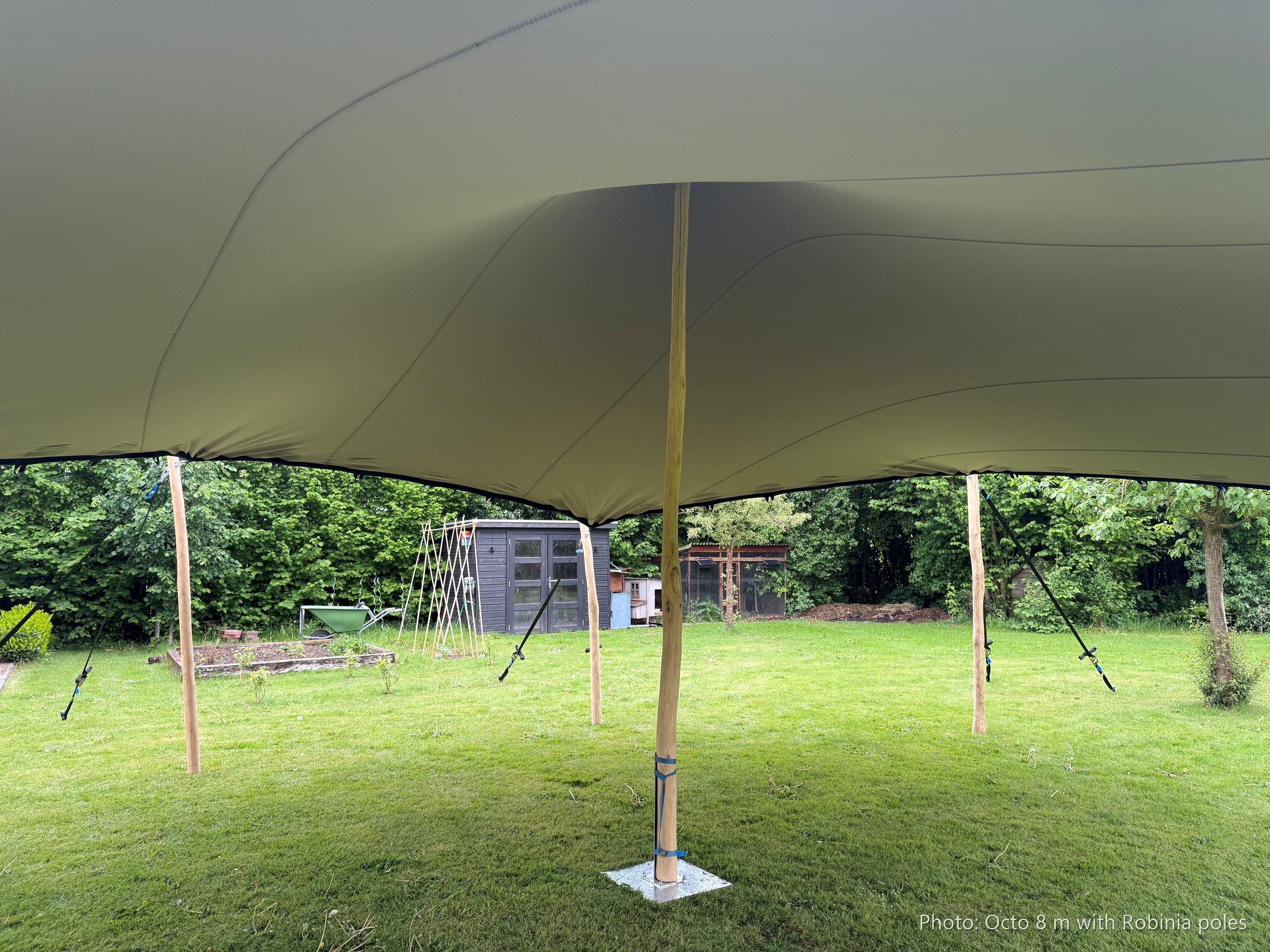 Octo Stretchtent 8 meter - photo of the 8 m tent with Robinia poles