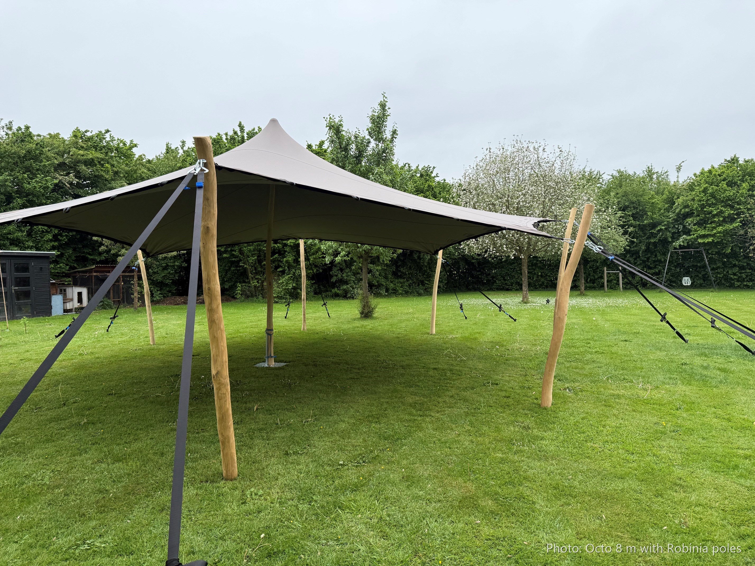 Octo Stretchtent 8 meter - photo of the 8 m tent with Robinia poles